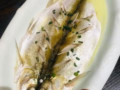 太湖白鱼-王四酒家苏帮菜馆(观前店)