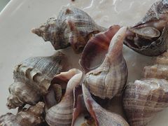 -红月湾海鲜饭店•沙滩海景(双月湾店)