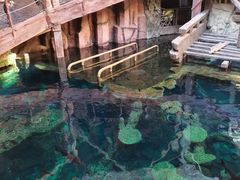 -长鹿旅游休博园