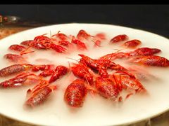 -红盔甲·小龙虾(定西路店)