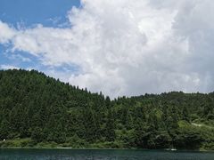 -武陵山森林公园