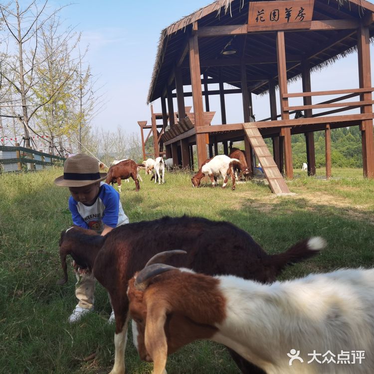 实用tips：江宁美丽乡村