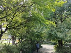 -东湖景区