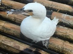 景点-楠溪江风景名胜区