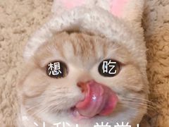 -大姐麻辣烫(莲宝中路店)