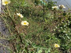 -千龙湖生态旅游度假区