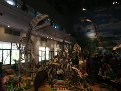 -自贡恐龙博物馆