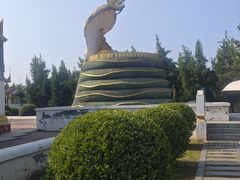 -洛阳白马寺