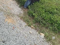 -敬亭山风景名胜区