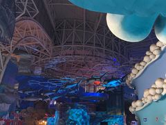 -烟台海昌鲸鲨海洋公园