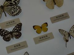 -中国湿地博物馆