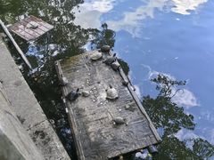 -阿育王寺