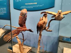 -国家自然博物馆