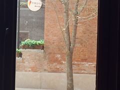 星巴克(先农大院店)-星巴克(天津五大道店)