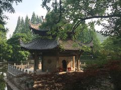 -习家池