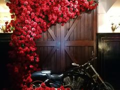 -碧特博格啤酒花园餐厅(芜湖路店)