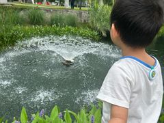 -西北湖绿化广场