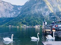 -布劳伽斯特豪夫哈尔施塔特宾馆