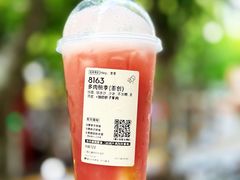 多肉桃李(首创)-喜茶(上海打浦桥日月光店)