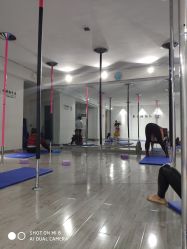 -柯宏＆雅婷塑形钢管舞蹈