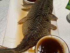-桂园餐厅(五大道店)