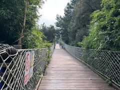 -铁山坪森林公园