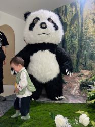 -芳妮豆丁儿童摄影(民治旗舰店)