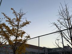 -回龙观体育文化公园