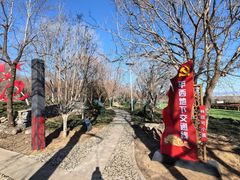 -阳台山自然风景区