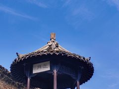 -何园