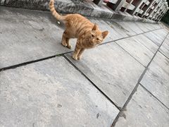 -四门塔风景区