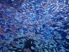 -成都浩海立方海洋公园