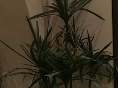 -梁溪河畔·吉府花园(南长街南下塘店)