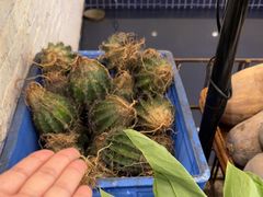 -大唐靓汤江门私房菜(景田店)