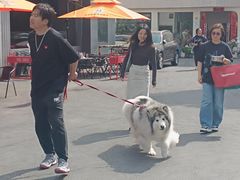 -老外街