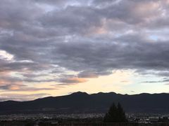 -蘑统田下·野生菌火锅