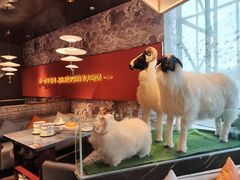 -百草滩羊清水涮羊肉·清真·宁夏盐池滩羊(莲花桥店)