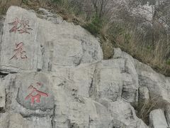-大围山国家森林公园