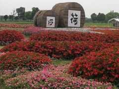 -嘉北郊野公园