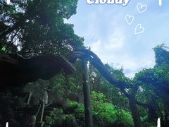 -严子陵钓台(富春江小三峡)