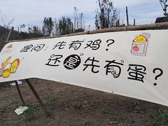 -晶宝温泉农庄