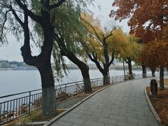 -长春市南湖公园