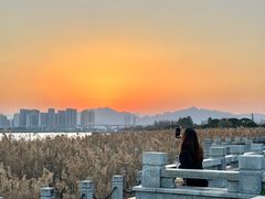 -江心屿景区