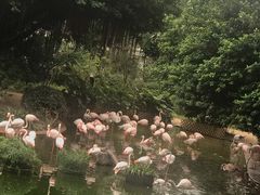 -九龙公园