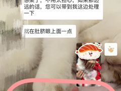 -关爱宠物医院·猫科中心·消化科(滨湖万达分院)