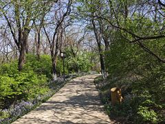 -高尔山公园
