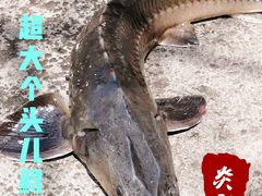-钰田大院·碳烤虹鳟鱼·怀柔地道农家菜(雁栖湖店)