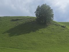 -新疆那拉提国家旅游度假区