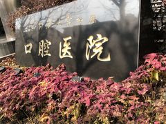 -同济大学附属口腔医院