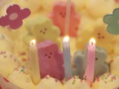 -好利来(高新枫叶广场店)